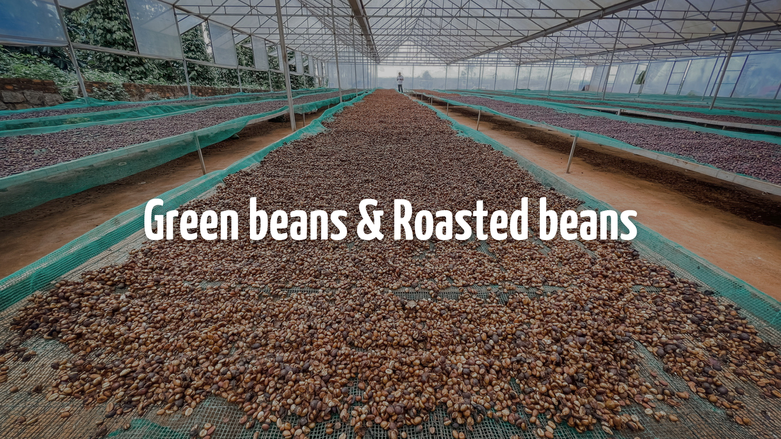 Green Beans & Roasted