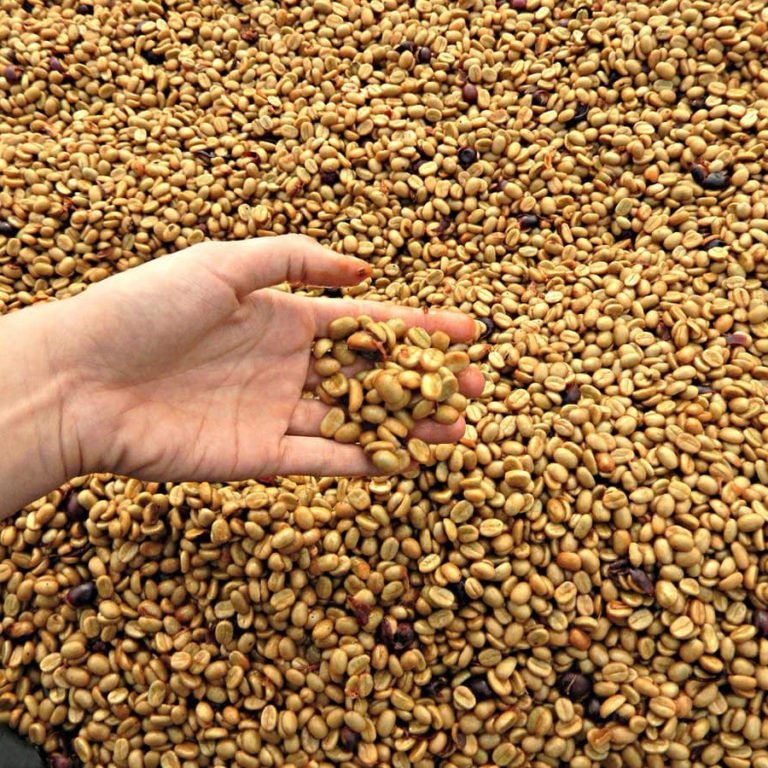 Cà phê mật ong