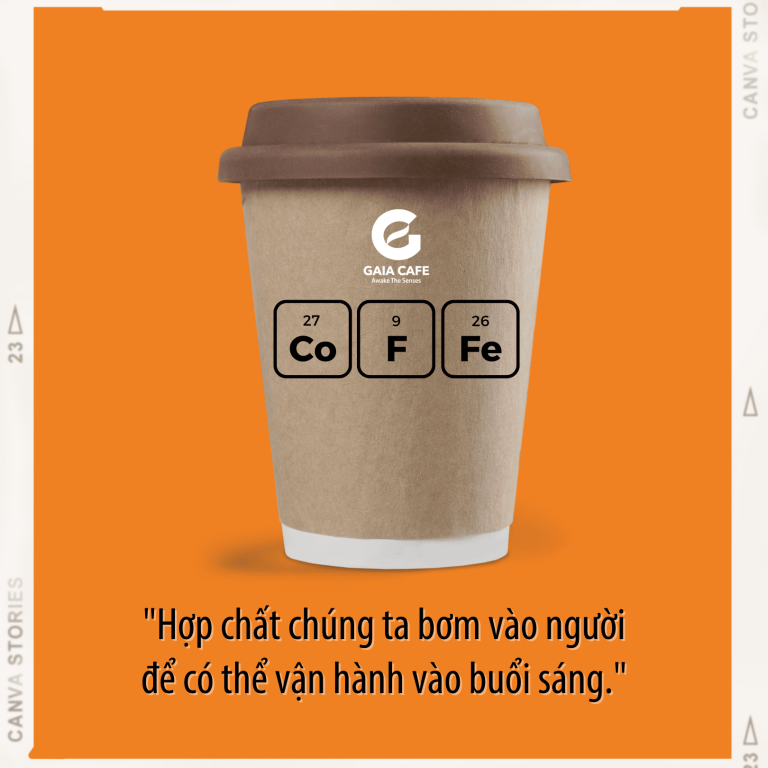 Tại Sao Cà Phê Lại Giúp Tỉnh Táo?