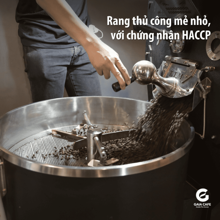 Pha Cà Phê Với Moka Pot