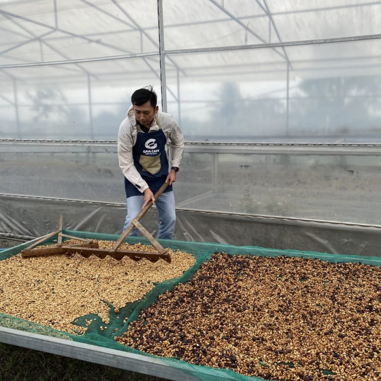 What is Honey Coffee Processing?