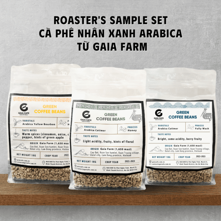SET SAMPLE 3 LOẠI CÀ PHÊ NHÂN XANH ARABICA CẦU ĐẤT TỪ GAIA FARM – DÀNH CHO NHÀ RANG