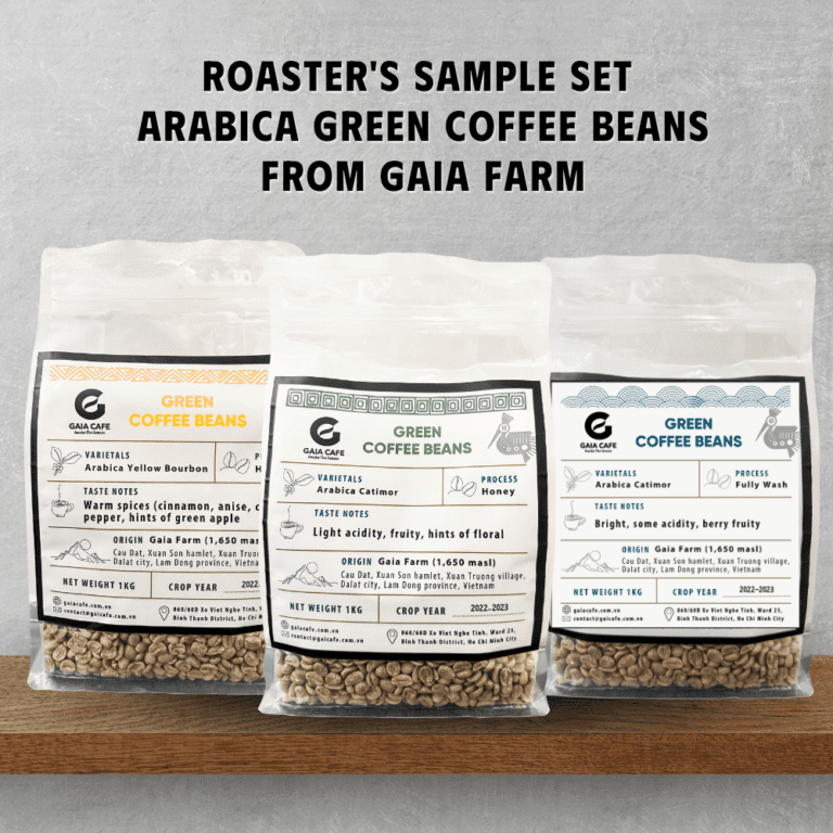 ROASTER’S SAMPLE SET OF 3 ARABICA GREEN COFFEE BEANS FROM GAIA FARM