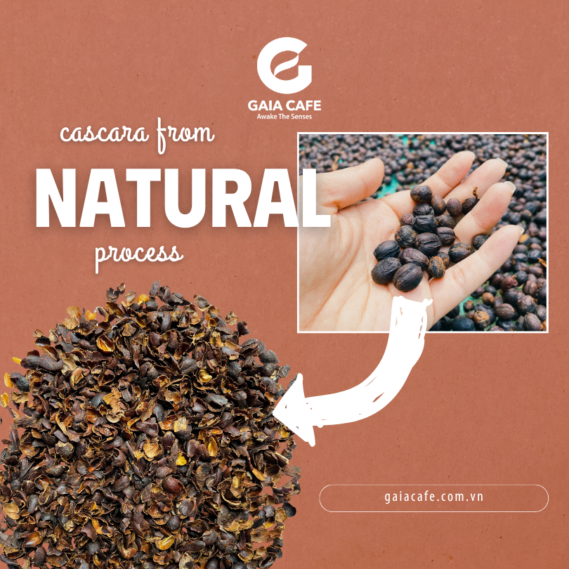 Cascara made from Natural process (1)