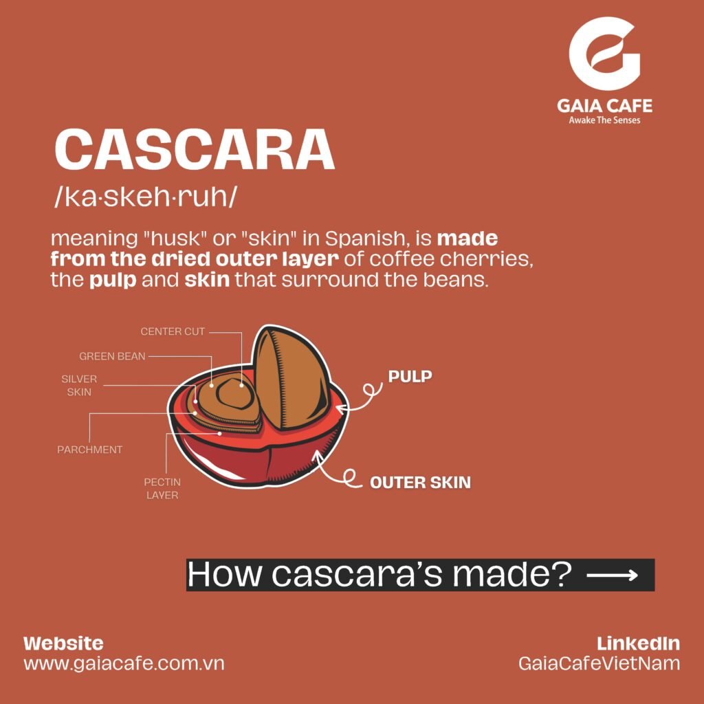 The Tale of Two Cascaras