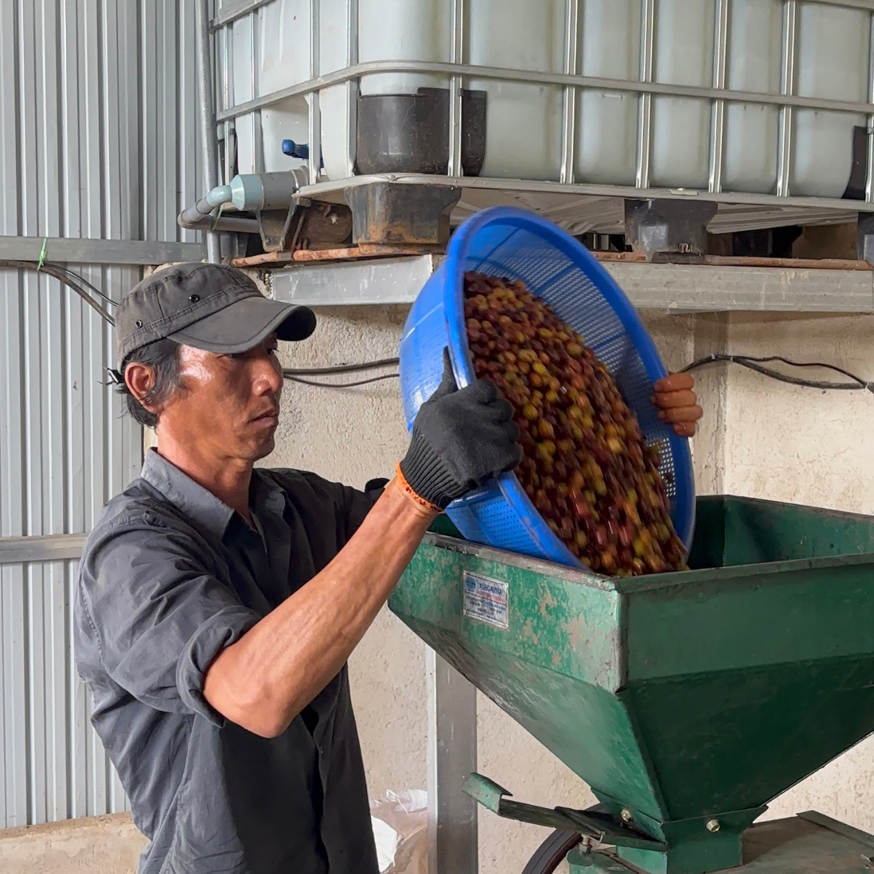 ANH TRỌNG QUÝ