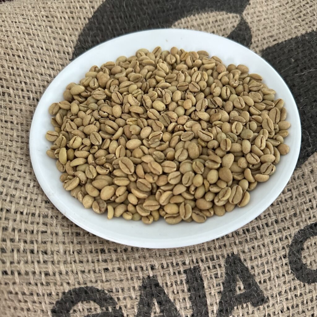 Liberica green coffee beans displayed on a white disc against the back ground of coffee jute bag from Gaia Café